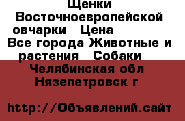 Щенки Восточноевропейской овчарки › Цена ­ 25 000 - Все города Животные и растения » Собаки   . Челябинская обл.,Нязепетровск г.